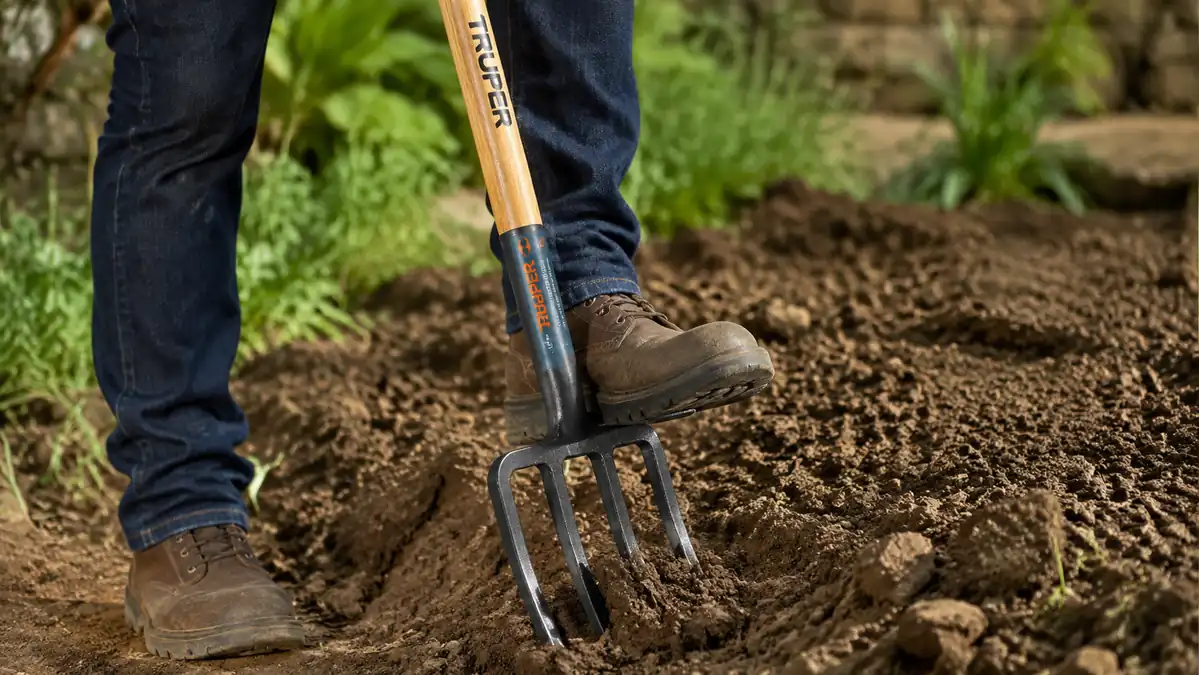 Close-up of a spading fork's steel tines fully driven into dry clay soil with a boot on the footplate