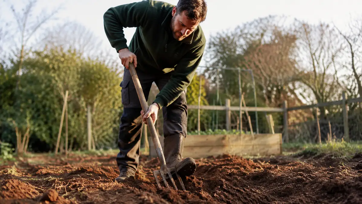 How to Aerate Clay Soil With a Spading Fork (Step by Step)